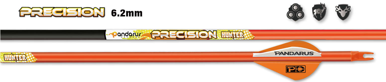 Стрелы Pandarus Precision — фото 1